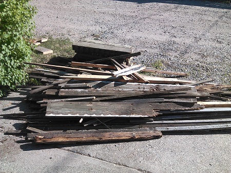 [Nothing like an old, rotted pile of wood to knock around.]