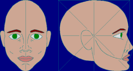 [Rough guides showing the design of the Robyn face.]